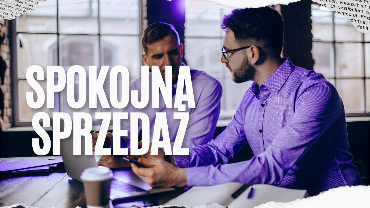 Spokojny sprzedawca prowadzący rozmowę sprzedażową z klientem w biurze